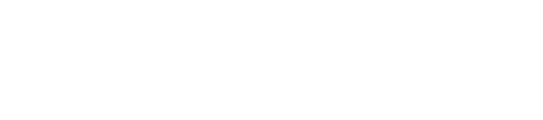 logo veeb horisontaalne valge
