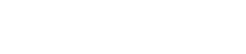 logo veeb horisontaalne valge