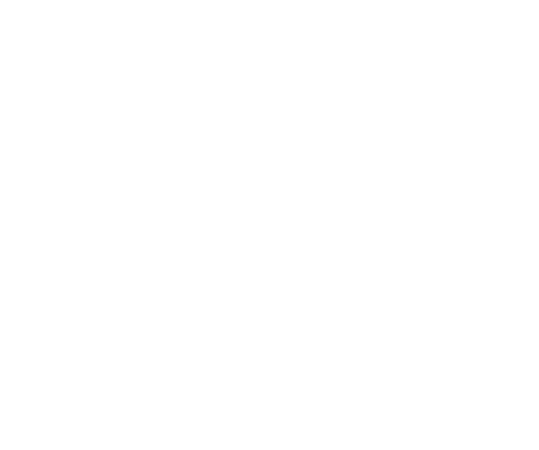 logo veeb valge